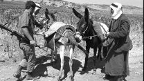 חייל צה"ל בודק חמור של תושב דרום לבנון 1976 (צילום: סער יעקב/ לע"מ)