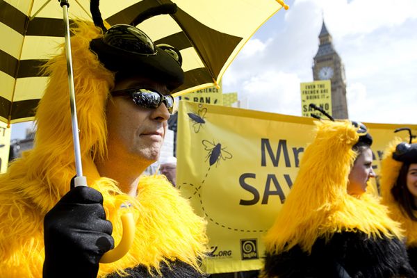 הפגנה מול ועידת האיחוד האירופי לפני הצבעה על הצעה לאסור חומרי הדברה המזיקים לדבורים. אפריל 2013 ארכיון (AP Photo/Alastair Grant, File).