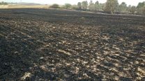 שדה שרוף במועצה אזורית אשכול כתוצאה מטרור העפיפונים (צילום: ניצן צבי כהן)