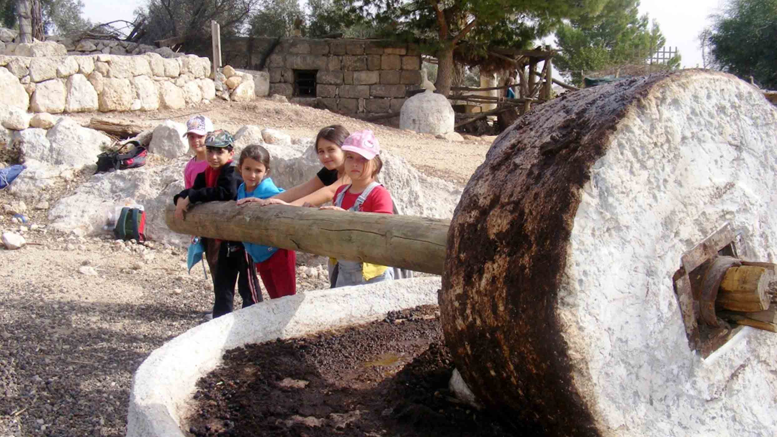 אופים לחם בכפר החשמונאי: פסטיבל חגיגה בלבן בחבל מודיעין (יחצ)