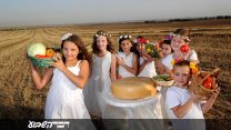 שבועות בצפון הנגב (יחצ)