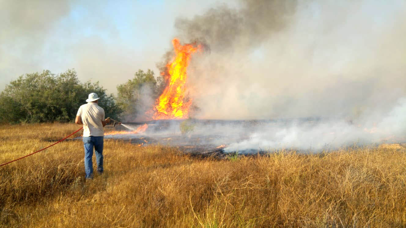 פקחי רשות הטבע והגנים בסיוע כוחות כיבוי אש מטפלים בשריפה בבשור שהחלה אתמול (צילום: רשות הטבע והגנים גלעד גבאי)