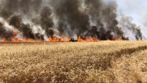 שריפה בשדות קיבוץ ניר עם, 3.6.18 (צילום: עופר ליברמן).