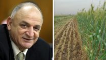 שדה חקלאי ויצחק תשובה (גילי יערי / יוסי זמיר / פלאש90)