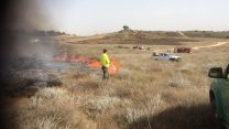 כיבוי שריפה בשמורת ניר עם. ארכיון (צילום: רשות הטבע והגנים יואב פרחי)