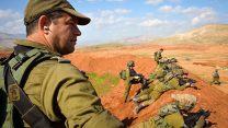 תא"ל עופר וינטר (צילם: דובר צה"ל)