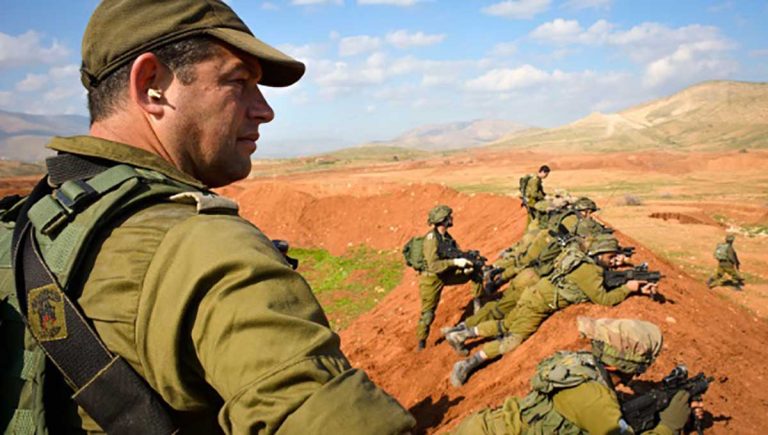 תא"ל עופר וינטר (צילם: דובר צה"ל)