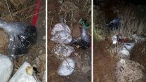 חומרי הנפץ שנתפסו בפעילות כוחות שב"כ וצה"ל לסיכול תשתית רחבה של חמאס במרחב העיר שכם (דובר צה"ל)