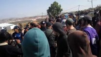פינוי תפוח (צילום: יהודה ליבר)