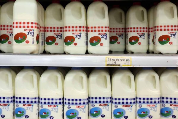חלב בסופרמרקט (צילום: נתי שוחט/ פלאש90)