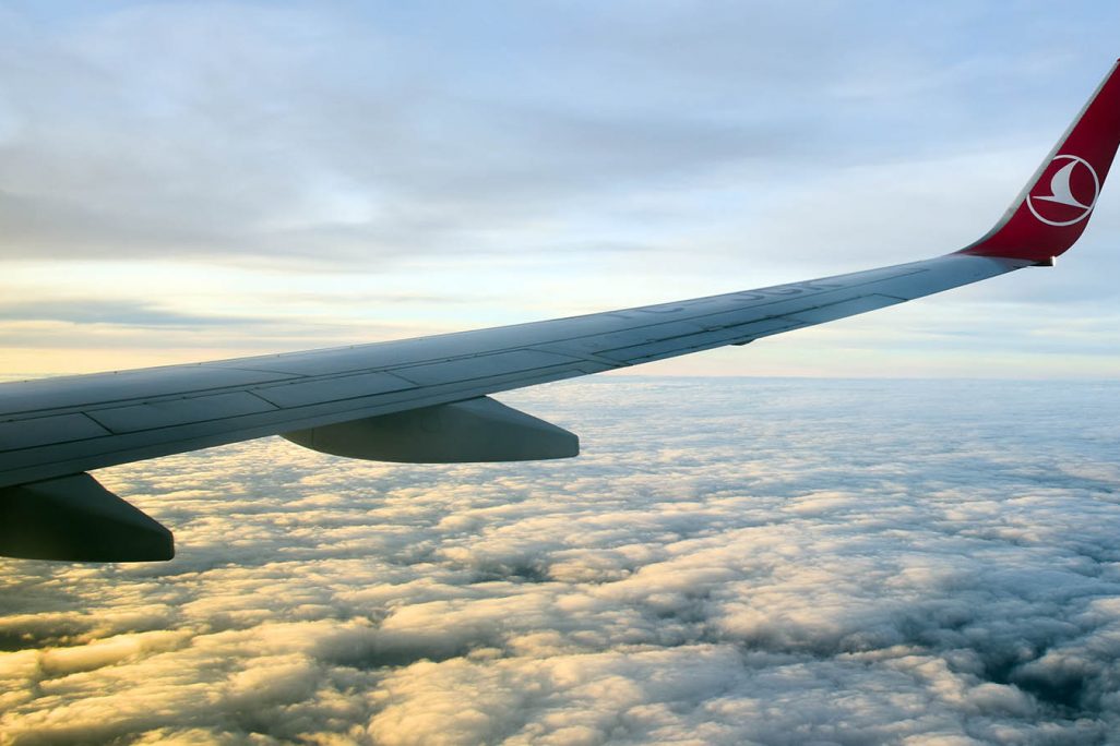 כנף מטוס חברת Turkish Airlines (צילום: thomas koch / Shutterstock).