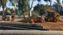 זירת תאונת בובקט. אילוסטרציה (צילום: הדס תגרי).