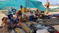 מאהל מחאה למען הרחקת אסדת לוויתן (צילום: מאיה סייפרס)