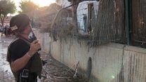 כוחות משטרה בזירת הנפילה בבנין בשדרות 14 ביולי (צילום: דוברות המשטרה)