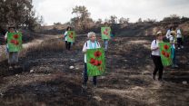 נשים עושות שלום באיזור שנשרף בסמוך לקיבוץ רעים (צילום: הדס פרוש / פלאש 90).