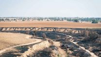 שטחים שרופים בתל גמה, נחל בשור, ליד היישוב רעים. 25 ביולי 2018 (דריו סנצ'ז  פלאש90)