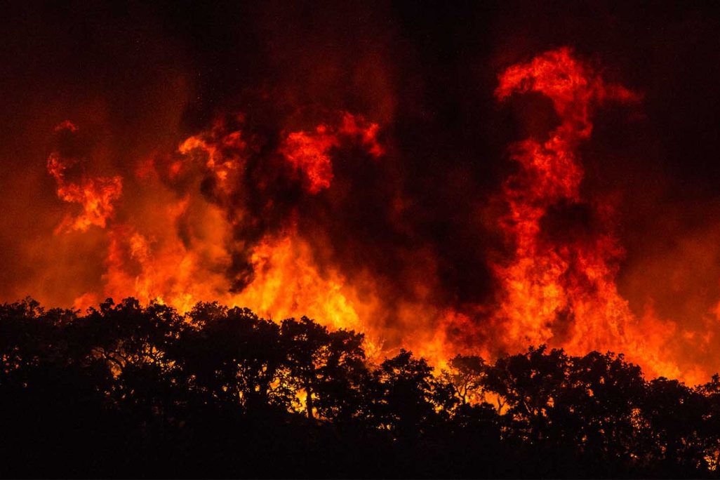 שריפה בסמוך לכפר בדרום פורטוגל בעקבות גל החום הפוקד את אירופה. 5 באוגוסט 2018 (AP Photo/Javier Fergo)