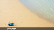 שפל (צילום אילוסטרציה: Shutterstock)