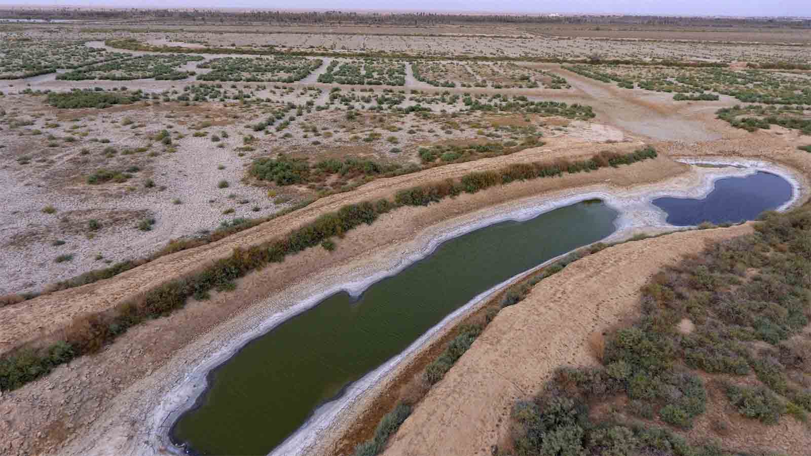 תעלת מים יבשה באזור בצרה בדרום עיראק. 28 ביולי 2018 (AP Photo/Nabil al-Jurani)