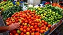 עגבניות בשוק. ארכיון (צילום:אביר סולטן/ פלאש90).