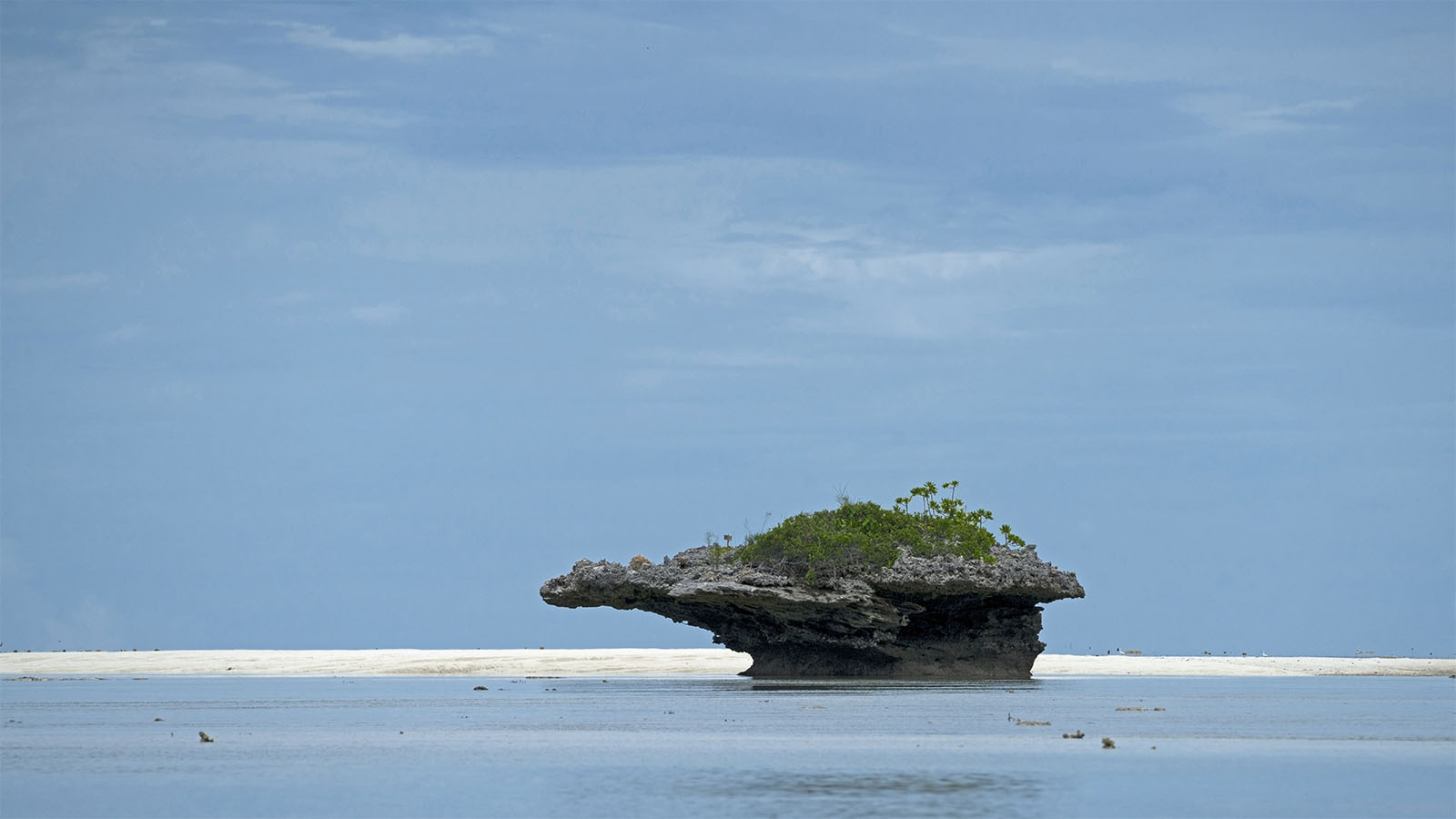 אטול אלדברה באיי סיישל (צילום אילוסטרציה: Shutterstock).