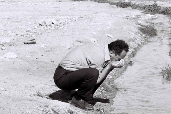 שר העבודה יגאל אלון שותה ממי מעיין, באזור אל פאזיל, בבקעת הירדן. 11 בדצמבר 67' (צילום: משה מילנר/ לע"מ)