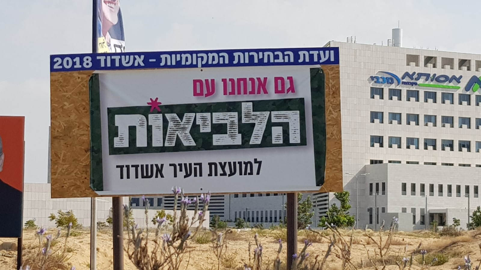 שלט תעמולה לסיעת 'לביאות'למועצת העיר אשדוד (צילום: שי ניב).