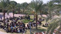 המכללה האקדמית ספיר (צילום: דוג'רית/ ויקימדיה)
