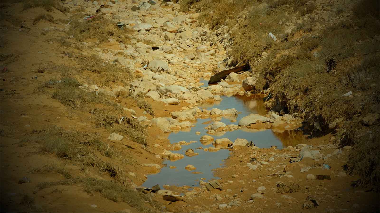 שאריות השטפון בנחל הסמוך לביתו של חמאד, בו טבע למוות (צילום: אלון ווליניץ)
