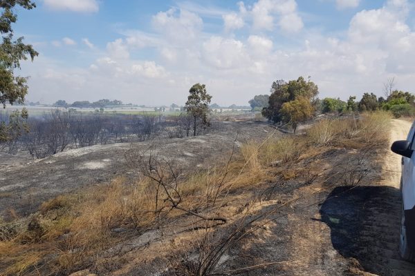 שריפה בנחל שקמה, 12 באוקטובר 2018 (צילום: דוברות כיבוי והצלה מחוז דרום)
