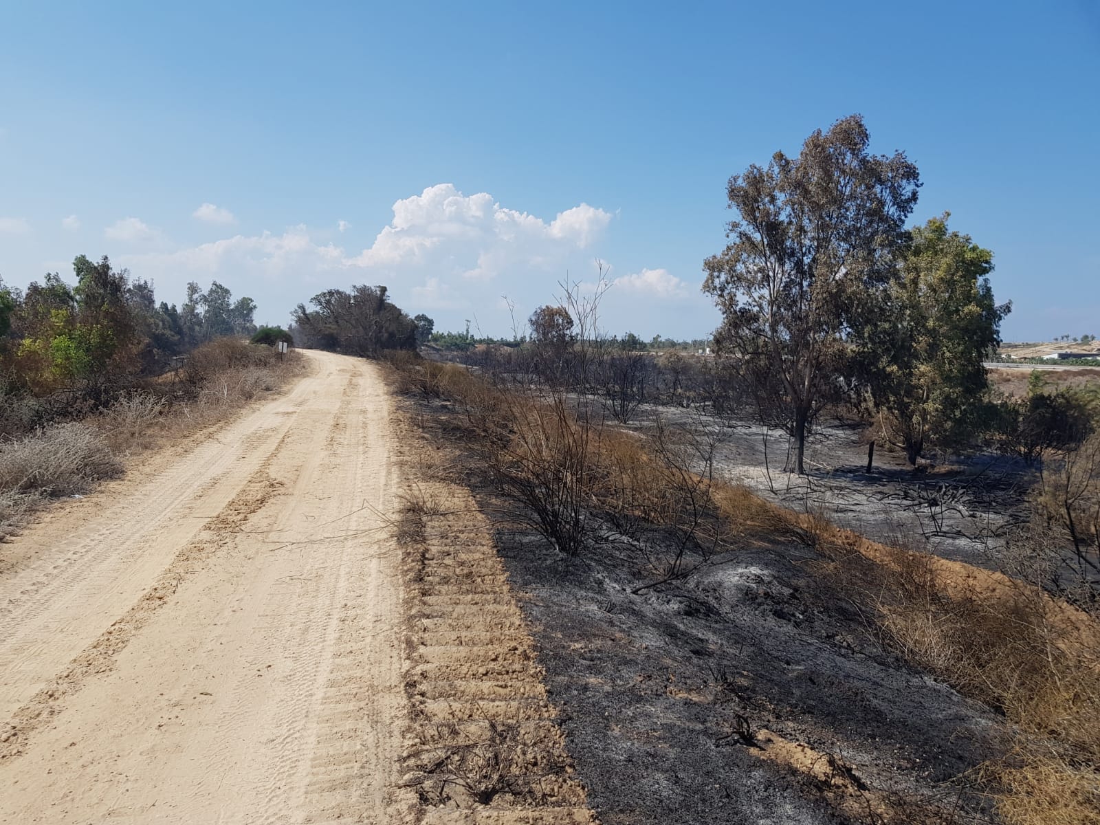 שריפה בנחל שקמה, 12 באוקטובר 2018 (צילום: דוברות כיבוי והצלה מחוז דרום)