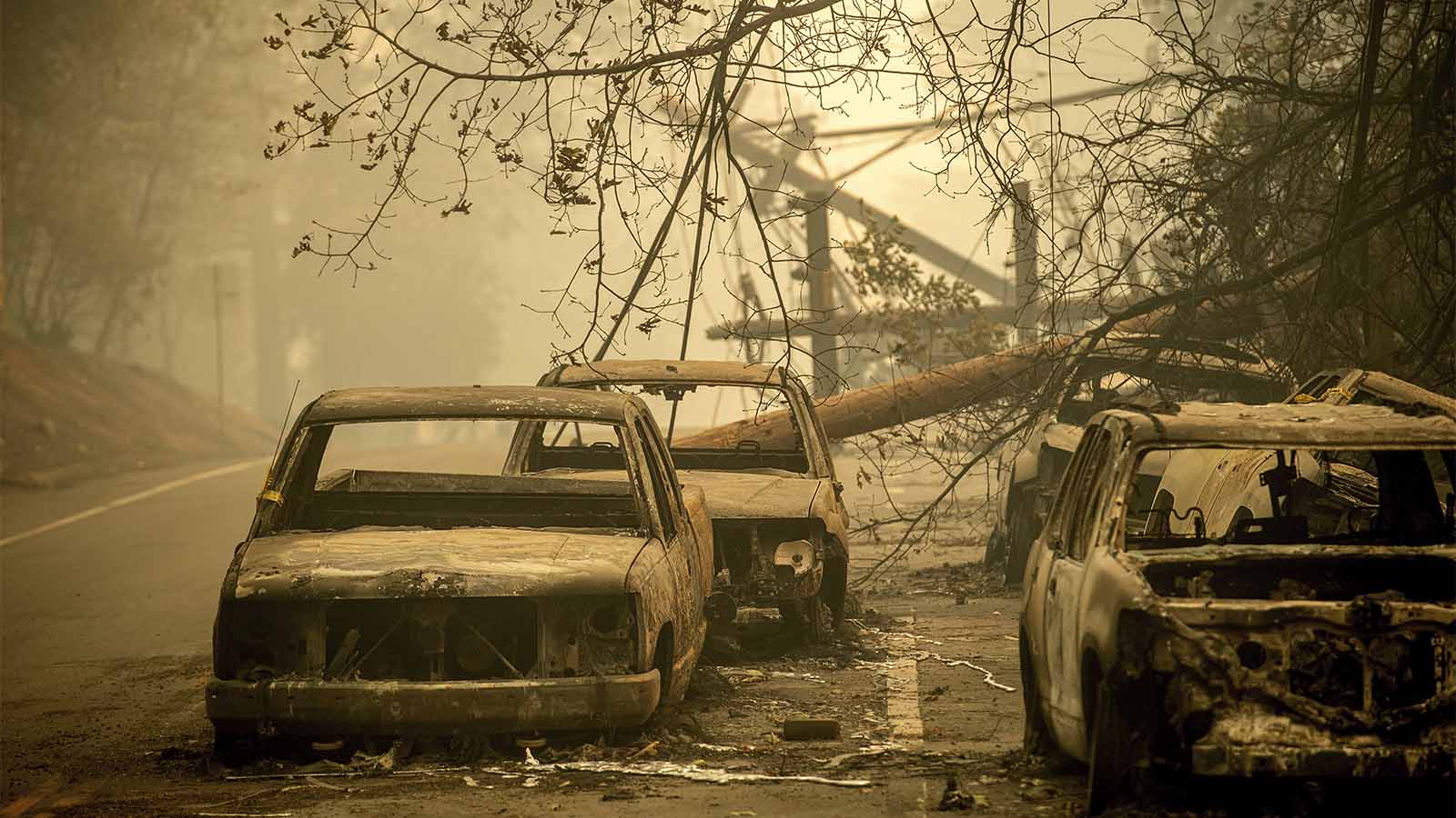 מכוניות שננטשו ועלו באש בפרדייז קליפורניה, שנפגעה קשות משרפות הענק במדינה. 10 בנובמבר 2018. (צילום: (AP Photo/Noah Berger