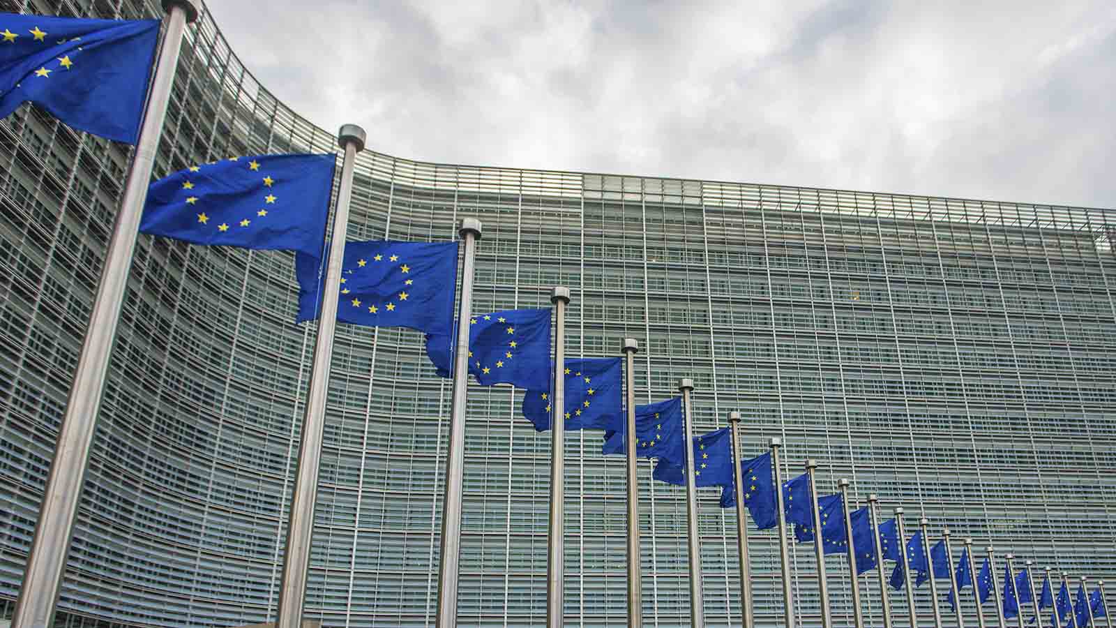 דגלי האיחוד האירופי בבלגיה (צילום: glen photo / Shutterstock).