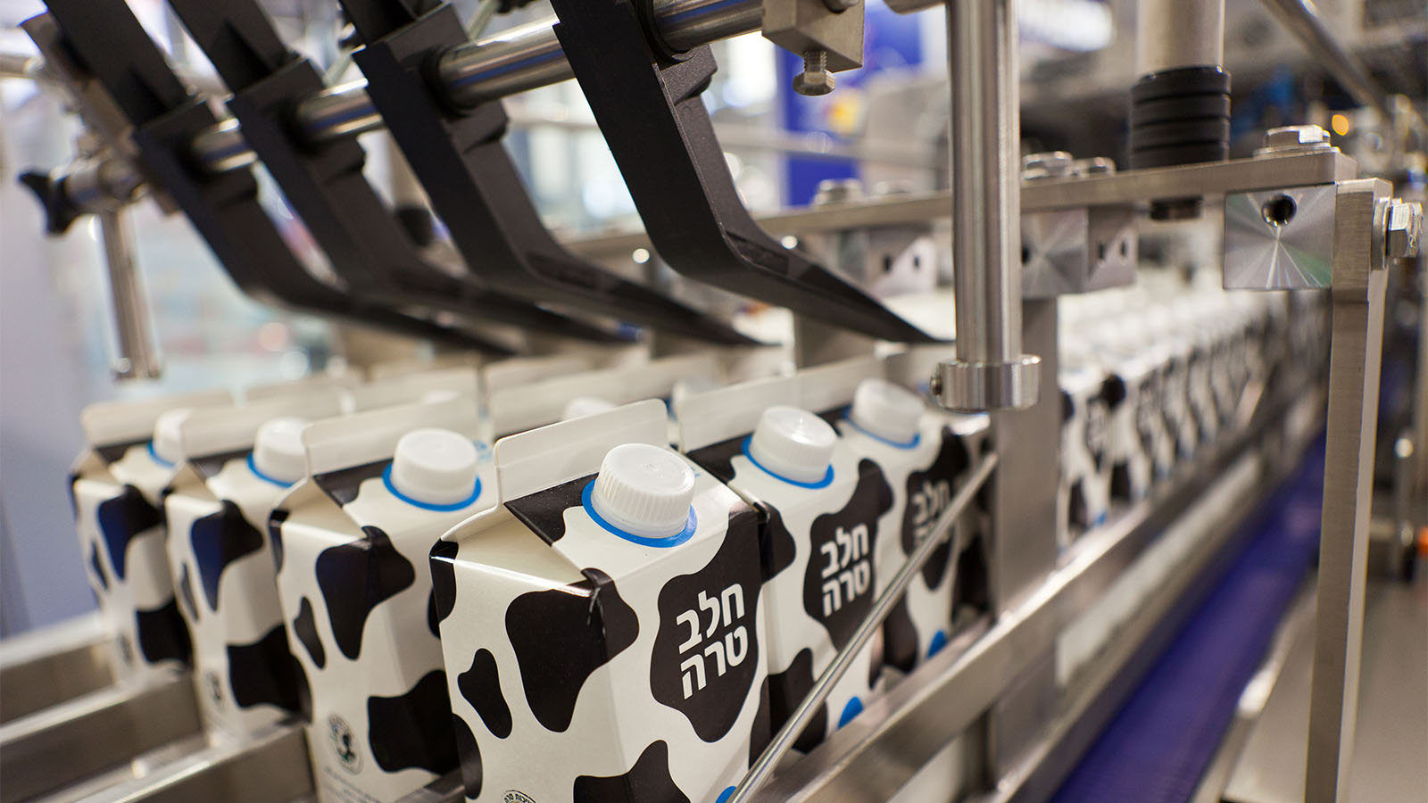 אריזת חלב במפעל (Editorial credit: Robert Kneschke / Shutterstock.com)