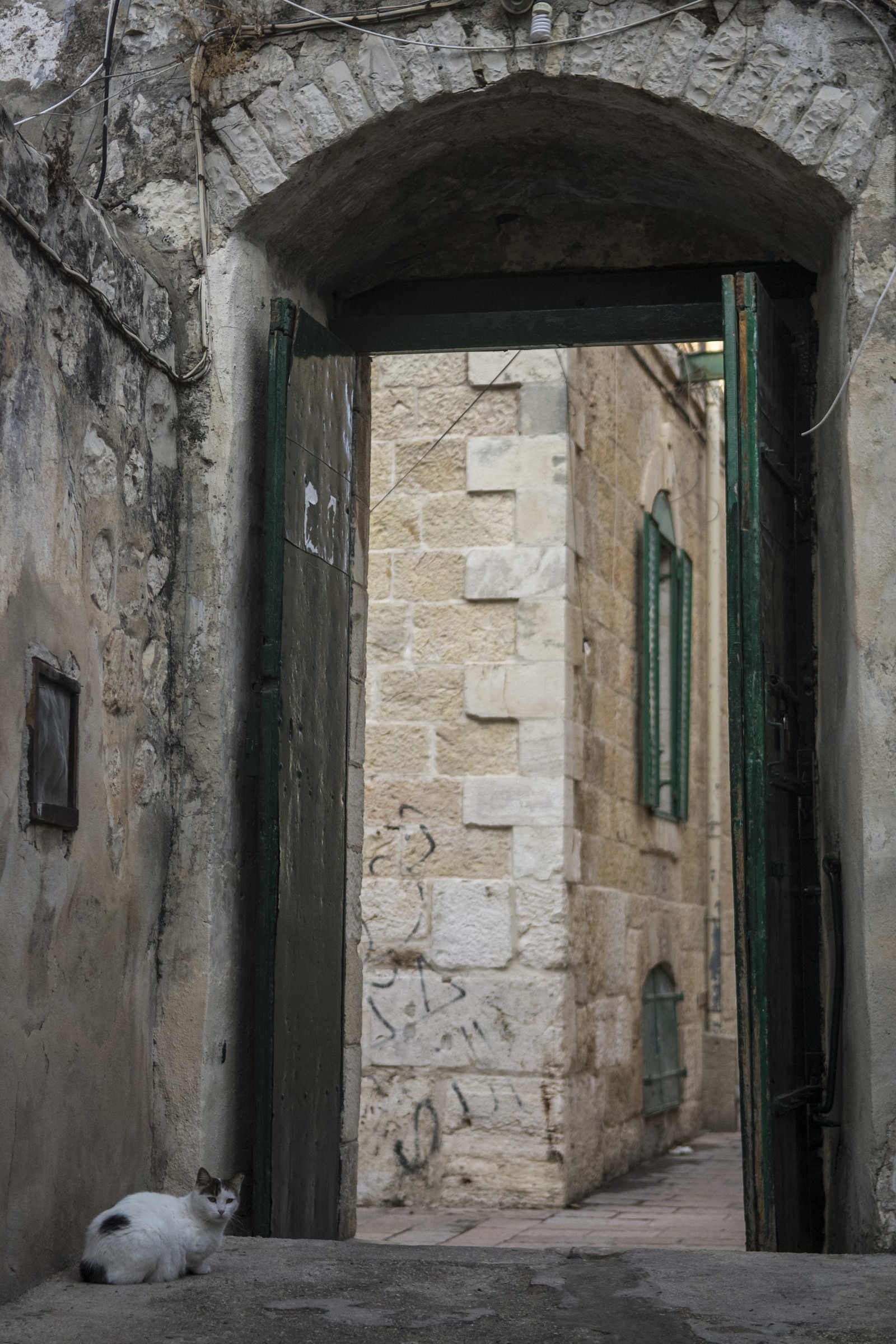 ירושלים שלי &#8211; עיר הניסים והנפלאות. צילום: דן לזר