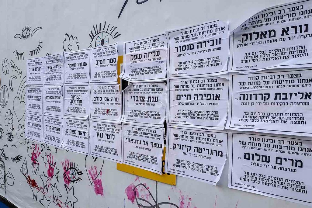 מודעות אבל שנתלו בתל אביב לזכר 24 הנשים שנרצחו השנה. (צילום: ספי קורפסקי)