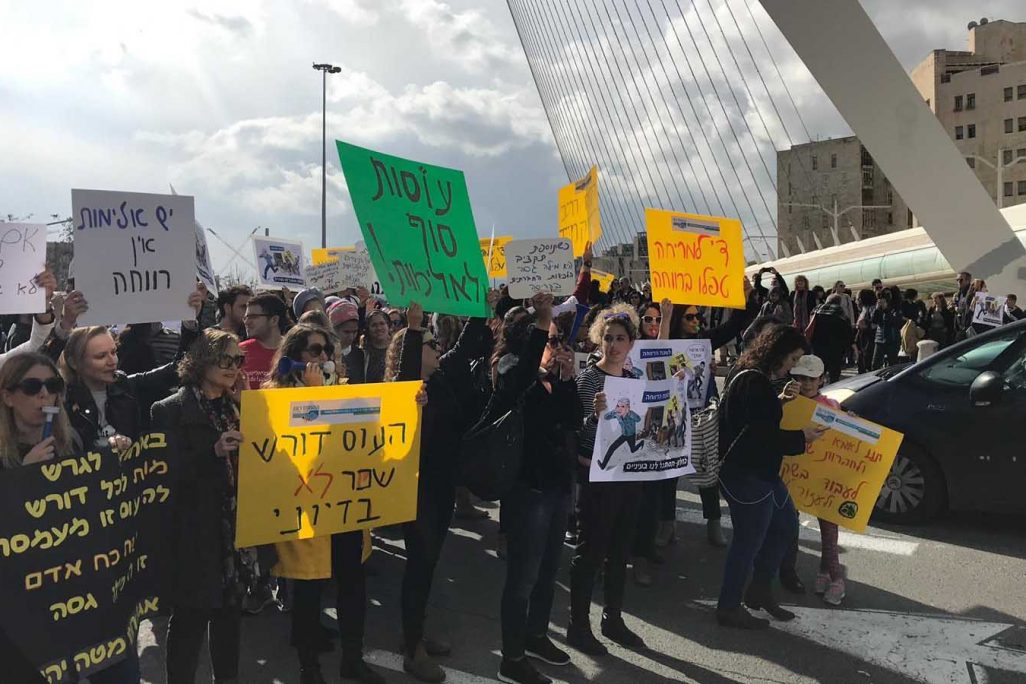 מחאת העובדים הסוציאליים מפגינים בכניסה לירושלים סמוך לגשר המיתרים. (צילום: דוברות המשטרה)