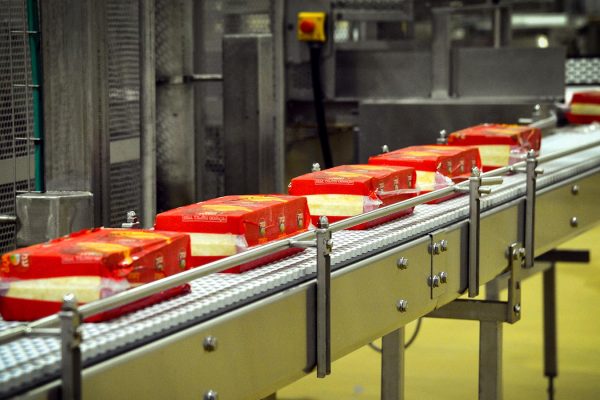 פס ייצור גבינה צהובה במפעל תנובה בתל יוסף (יוסי זליגר/פלאש90)