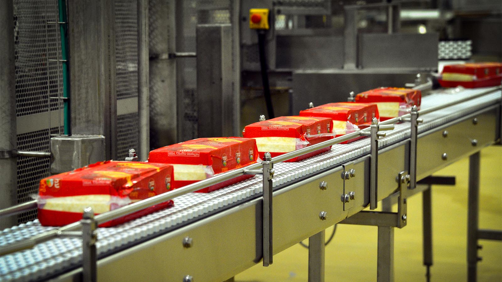 פס ייצור גבינה צהובה במפעל תנובה בתל יוסף. ״רווח הוא מושג רחב, גדול ועשיר יותר מכסף״ (יוסי זליגר/פלאש90)