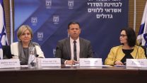ועדת החקירה לבדיקת האשראי ללווים הגדולים. 6 בינואר 2019 (צילום: דוברות הכנסת יצחק הררי)