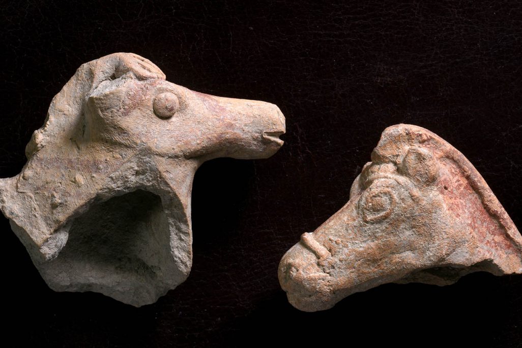 צלמיות הסוס שהתגלו לאחרונה. צילום: קלרה עמית, רשות העתיקות
