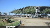 הרפת המשותפת של הקיבוצים ניר עם וניר עוז (צילום: אורן הראל)