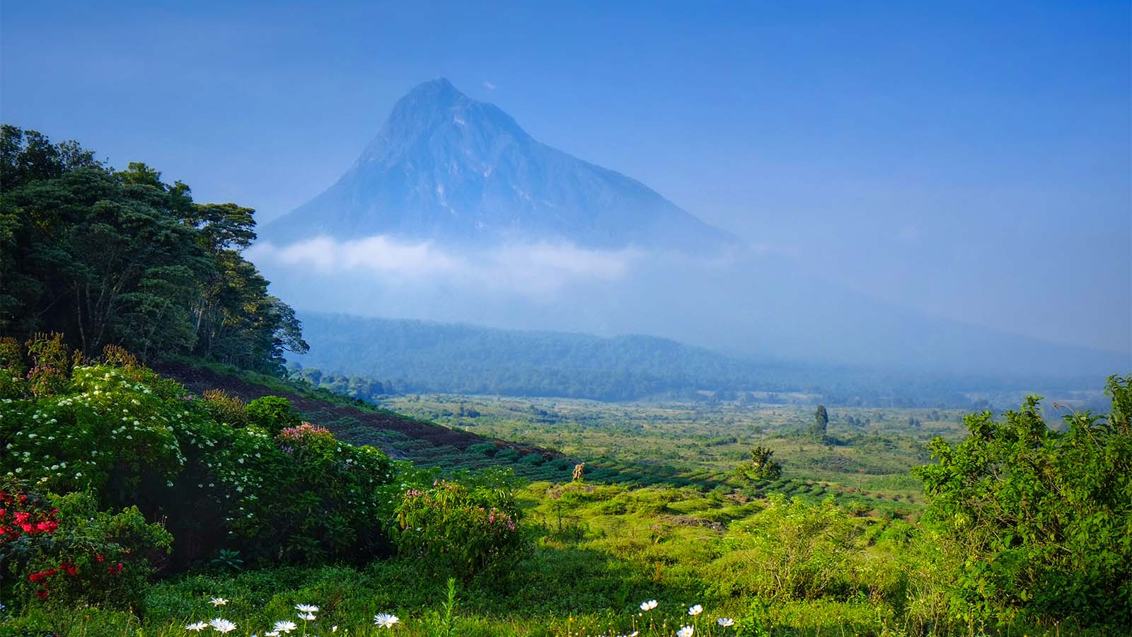 הר הגעש בקונגו (צילום: shutterstock).
