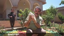 עבדאללה אג'לאן מנהיג ה-PKK מחזיק יונה. 1 ביולי 1997 (Photo by Richard Wayman/Sygma via Getty Images)