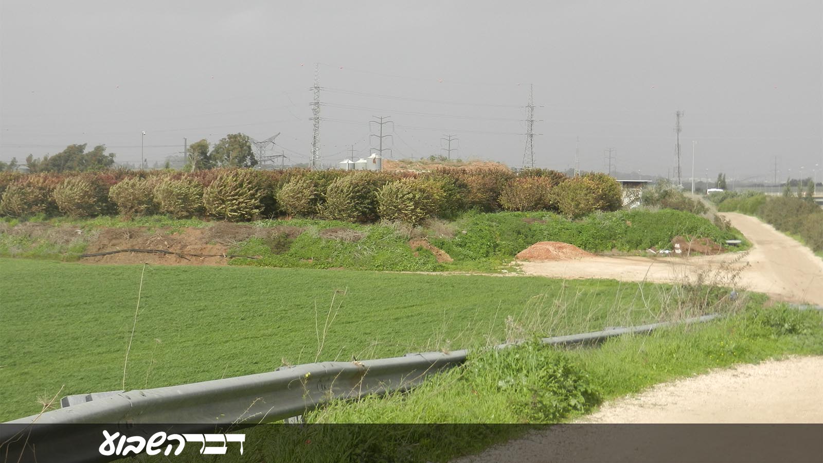 חורשה בדרום השטח המיועד להקמת תחנת 'מפגש השלום', סמוך לכפר סבא (ארז רביב)