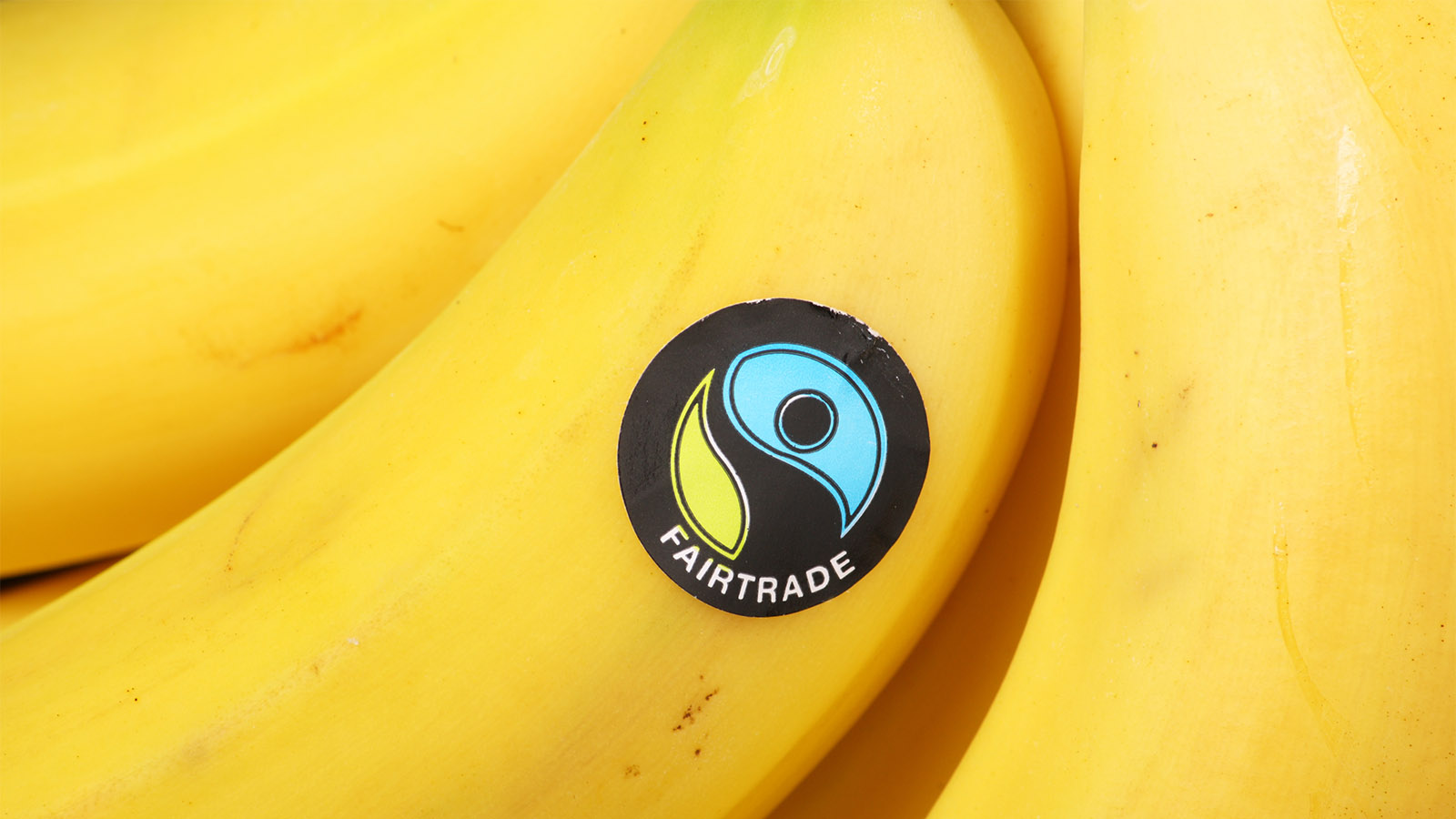 מדבקה של &quot;סחר הוגן&quot; על בננות (Editorial credit: Thinglass / Shutterstock.com)