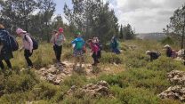 טיול על גבעה בה התרחש מבצע "לולב" (צילום: דוד טברסקי)