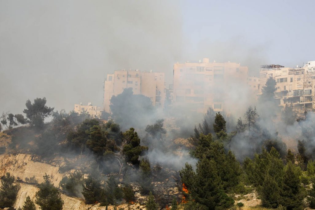 השריפה בפאתי שכונת רוממה, בירושלים (צילום: הדס פרוש/פלאש90)