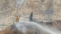 השריפה בירושלים. 17 ביולי 2019 (קרדיט: דוברות כבאות והצלה)