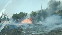 השריפה בירושלים. 17 ביולי 2019 (קרדיט: דוברות כבאות והצלה)